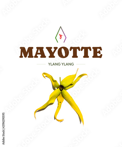 abstract logo design