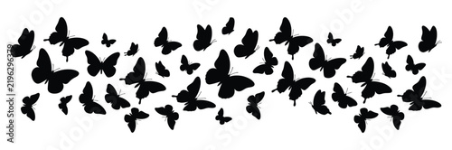 A large and incredibly dense swarm of black butterflies are flying together creating a chaotic yet strikingly beautiful pattern on a plain