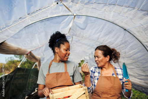 Women farmers inspecting fresh produce in greenhouse