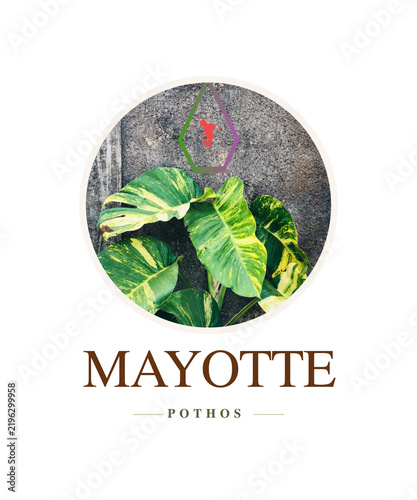 eco friendly logo