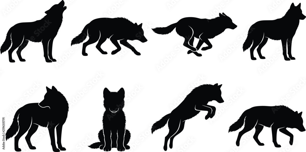 Obraz premium Silhouettes of Wolves in Various Poses Including Howling Running Sitting and Walking Vector Set.