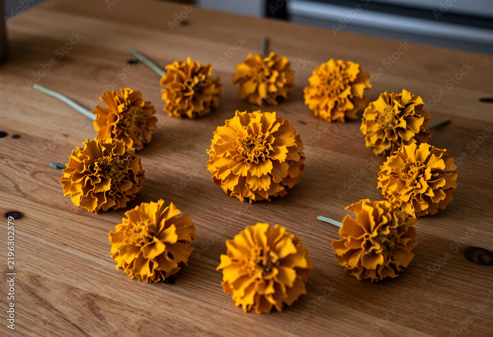 Obraz premium Floral arrangement and wellness concept, bright orange marigold flowers organized in a circle on a rustic wooden table for home decor and lifestyle