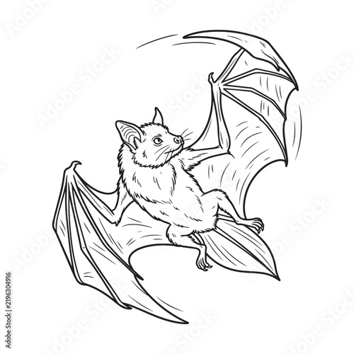 A cute small bat flying with wings spread wide in a line art style