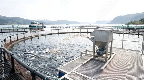 Circular aquaculture fish farm cages in coastal waters with feeding system