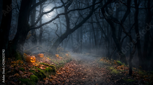 Spooky Halloween Forest Path with Glowing Jack O Lantern Pumpkins at Foggy Night