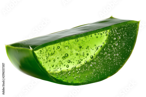 Fresh Aloe Vera Slice with Water Droplets, Isolated on Transparent Background