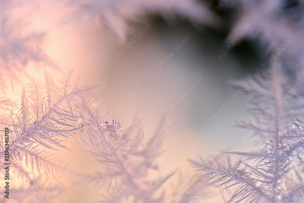 Obraz premium Frost crystals in delicate fern shapes spread across a window pane, featuring a soft glowing light and beaded meltwater for winter backgrounds