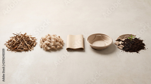 Visual material lifecycle showing agricultural plant waste transformed into natural fibers, a biodegradable sheet, molded packaging, and decomposing material returning to soil.