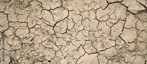 Top view of dry cracked soil surface, drought texture, parched earth with deep cracks and dry ground