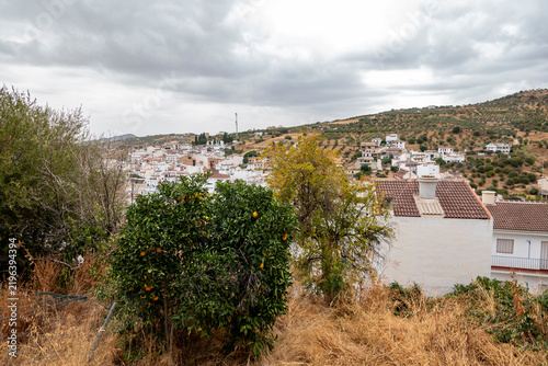 Orange tree overlooking Tolox village and olive groves in Málaga, Spain