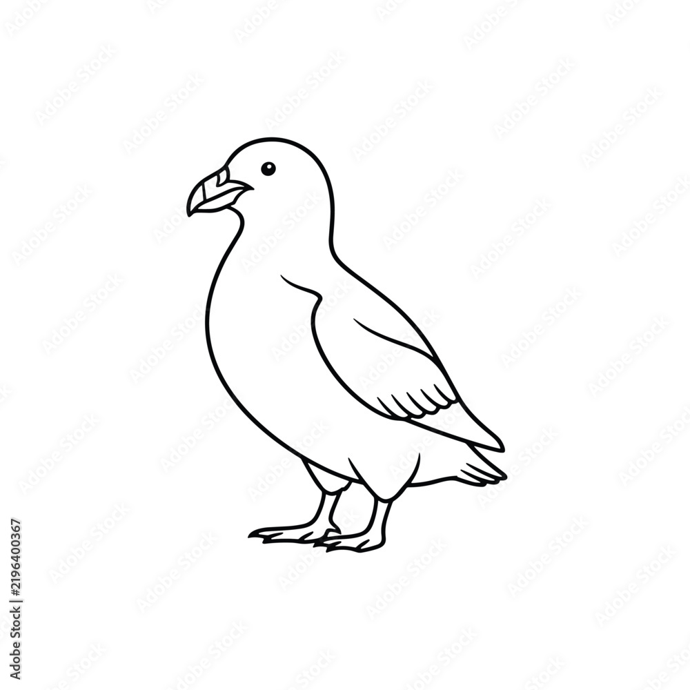 Obraz premium Puffin bird outline line art drawing showing a cute sea parrot standing isolated on a clean white background.