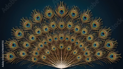 Fan of golden peacock feathers with blue eyes on dark background