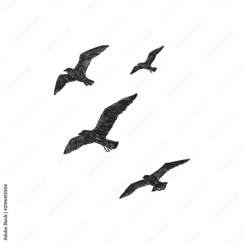 Obraz premium Textured black pencil sketch of a flock of birds flying in the sky isolated on transparent background. Hand drawn illustration of seagulls or crows for nature, freedom, migration, and minimalist art 