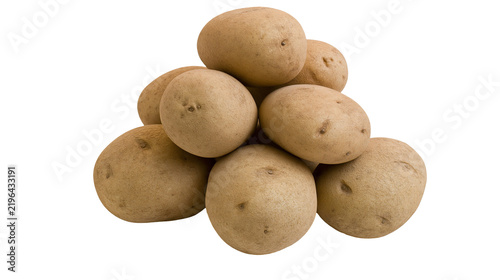 Cuadro en lienzo Isolated collection of natural organic brown potatoes, fresh raw vegetables ready for cooking