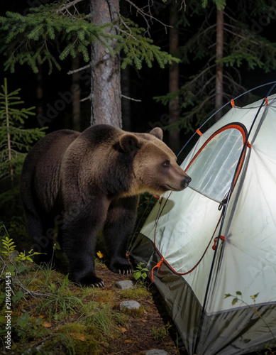 A bear is near a tent in the forest during night. The bear looks curiously at the tent presenting a risk to nearby campers. Forest surrounds the scene. Wild animals and humans. Generative AI