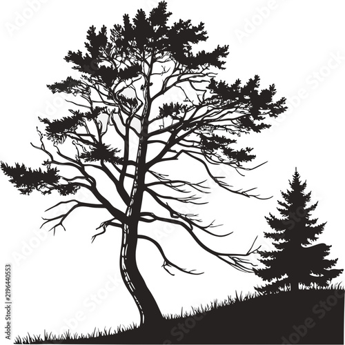 Christmas Tree Black Silhouette Vector Collection – Minimal Holiday Evergreen Icons