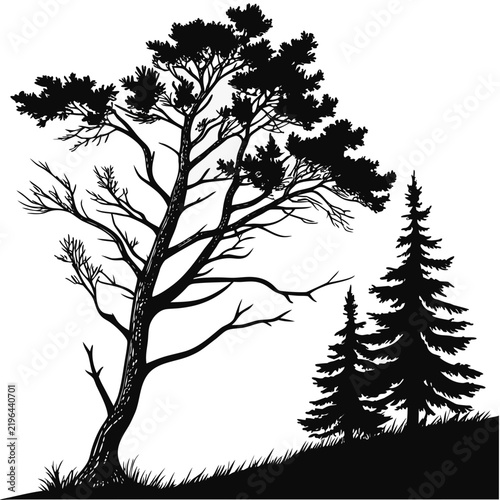 Christmas Tree Black Silhouette Vector Collection – Minimal Holiday Evergreen Icons