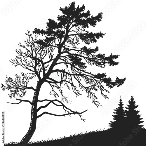 Christmas Tree Black Silhouette Vector Collection – Minimal Holiday Evergreen Icons