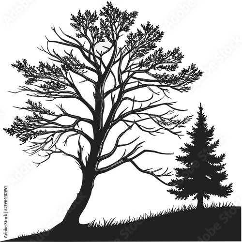 Christmas Tree Black Silhouette Vector Collection – Minimal Holiday Evergreen Icons
