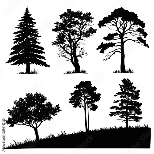 Christmas Tree Black Silhouette Vector Collection – Minimal Holiday Evergreen Icons