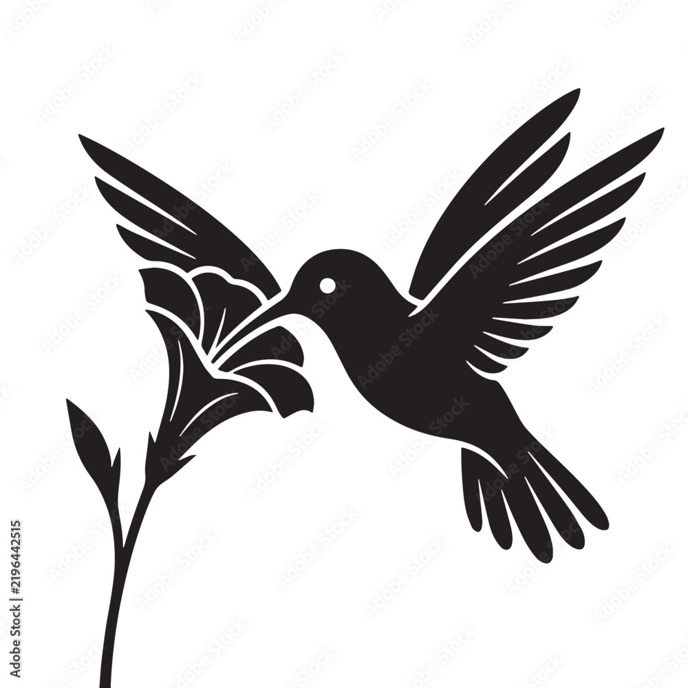 Obraz premium Black Hummingbird sucking flower nectar Silhouette Vector, High Quality Illustration on White Background