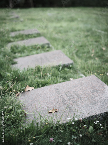 Foto Overgrown gravestones in a quiet cemetery surrounded by grass and wild plants, evoking remembrance, mortality and the passage of time
