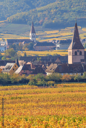 Ammerschwihr et Kientzheim, villages d'Alsace en automne	
