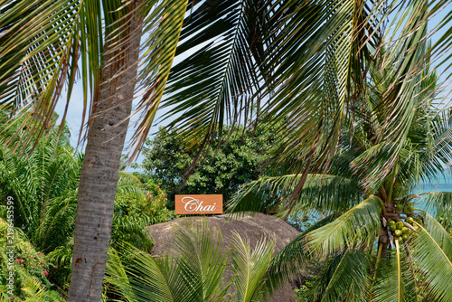 Orange Chaweng sign embedded on rock among lush coconut palm trees