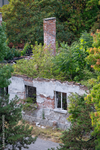 Bild auf Leinwand An old ruined brick building with an intact chimney stands overgrown by dense green trees and vegetation reclaiming the crumbling architecture