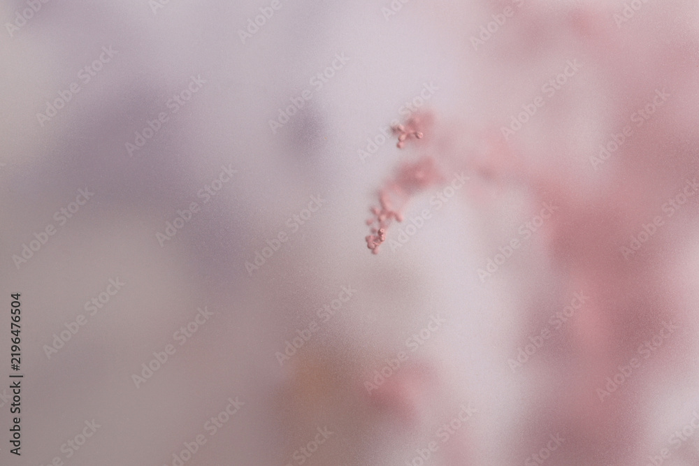 Obraz premium Smoke selected soft focus cream Dry Flower through translucent matte frosted glass. Abstract natural blurred grain light fog background.