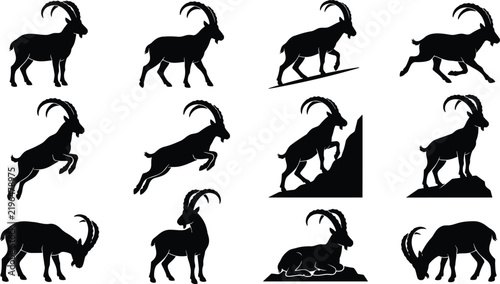 Detailed Alpine Ibex Goat Silhouettes Showing Various Natural Postures