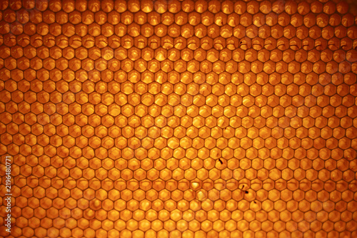 Texture of golden honeycombs sealed with wax caps, filling the entire frame. Natural apiary background.