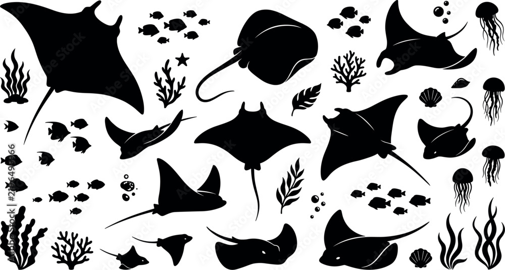 Obraz premium Stingray and manta ray silhouette vector set with tropical fish jellyfish seaweed and ocean floor coral elements,