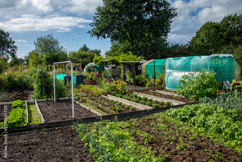 Konstfotografi Allotment garden biological vegetable growing location