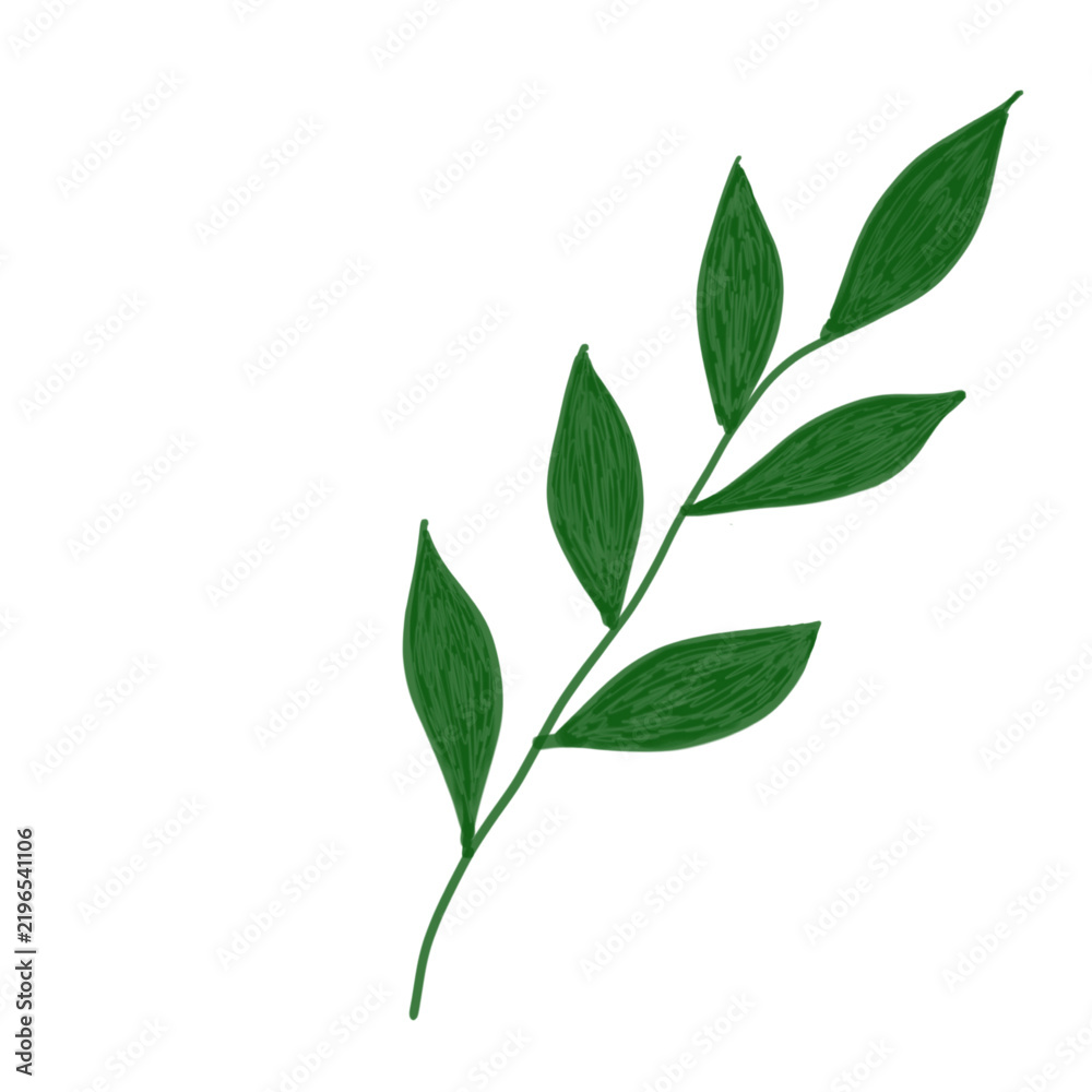 Fototapeta premium green leaves isolated on white background