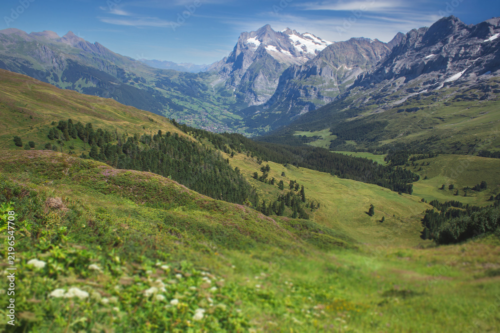 Fototapeta premium Scenic overview of a lush green Alpine valley with distant mountain peaks
