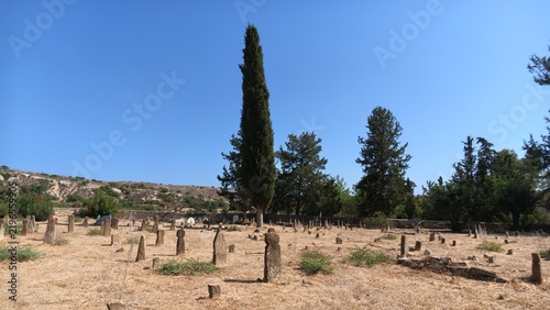 Принти на полотні Turkish Cypriot cemetery with numerous stone gravestones scattered across a dry