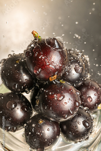 Water droplets on jabuticaba fruit; water droplets falling onto some jabuticabas and creating beautiful shapes; selective focus.