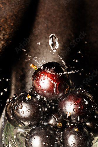 Water droplets on jabuticaba fruit; water droplets falling onto some jabuticabas and creating beautiful shapes; selective focus.