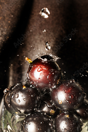 Water droplets on jabuticaba fruit; water droplets falling onto some jabuticabas and creating beautiful shapes; selective focus.