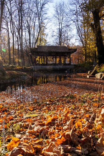 Принти на полотні Pagoda bower during autumn next to a lake with carpet of orange leaves