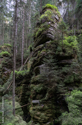 фотографія Moss covered rock formation in a dense coniferous forest