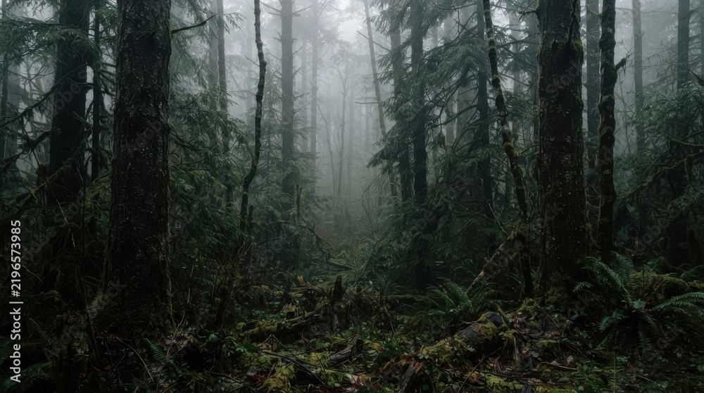 Fototapeta premium Dense foggy pine forest with lush green moss and ferns on the ground