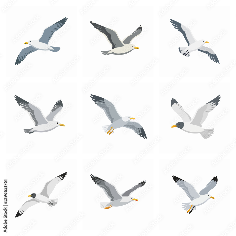 Obraz premium Collection Of Nine Flying Seagull Birds In Flat Vector Style
