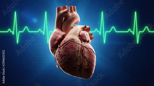 Human Heart Anatomy with EKG Pulse Line on Blue Background