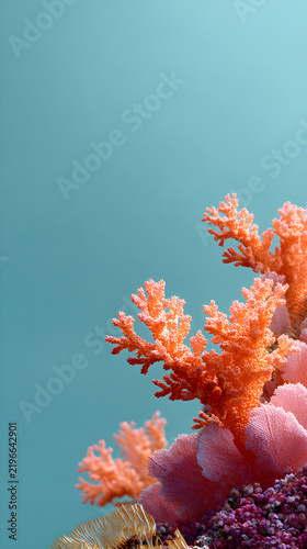 coral reef