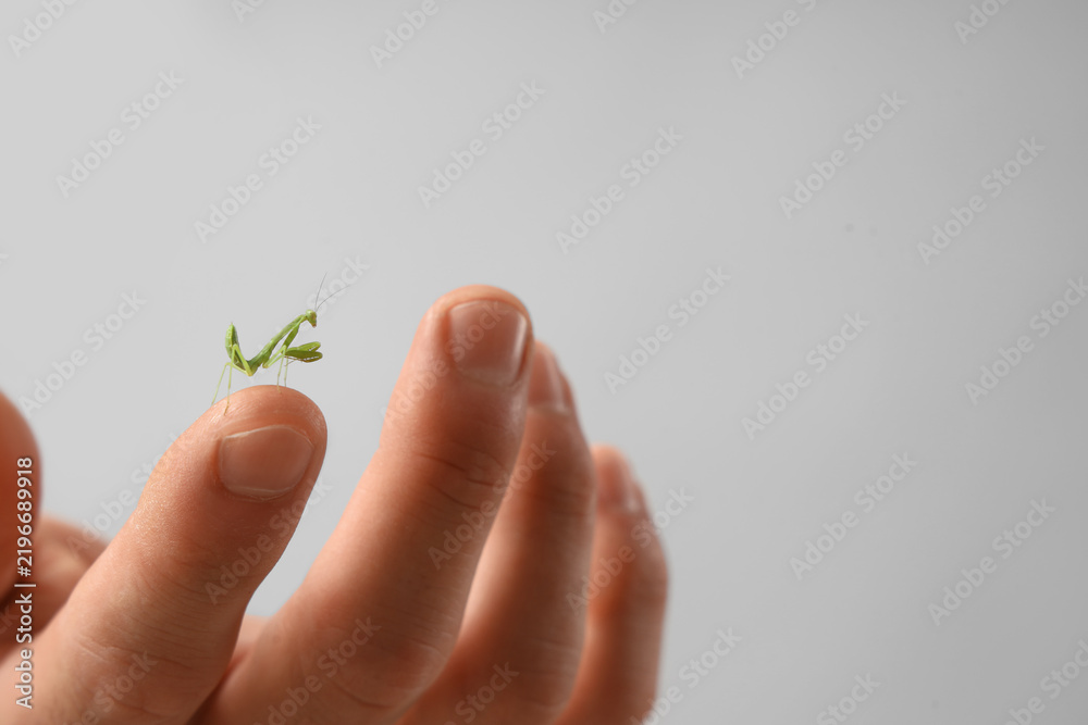Obraz premium Biodiversity and environmental conservation, tiny green praying mantis insect resting on a human finger as a symbol of nature connection and wildlife