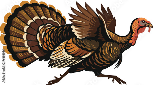 Wild turkey with fanned tail feathers vector illustration