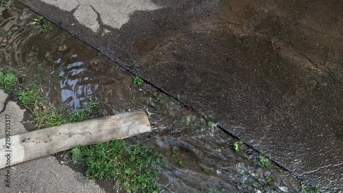 Water Leaking from Hose on Wet Asphalt Top Down View | Emergency Pipe Flooding City Street | Industrial Drainage Problem Concept