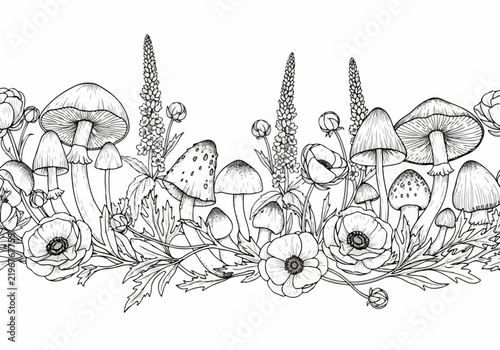 Detailed botanical illustration of mushrooms and flowers